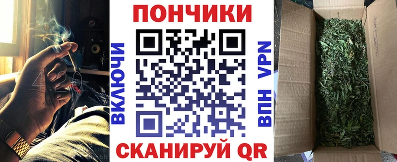 Бошки Шишки марихуана  Зима 